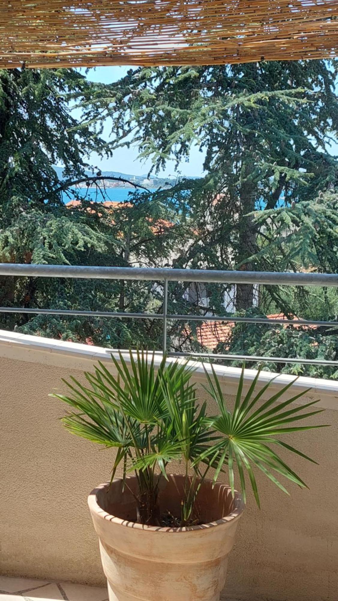 Apartment Lucija-klara *